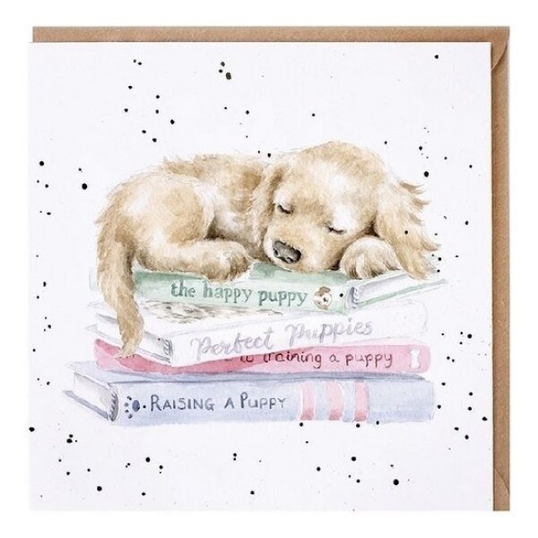 Přání Wrendale Designs A Pup´s Life, 15x15 cm - Štěně
