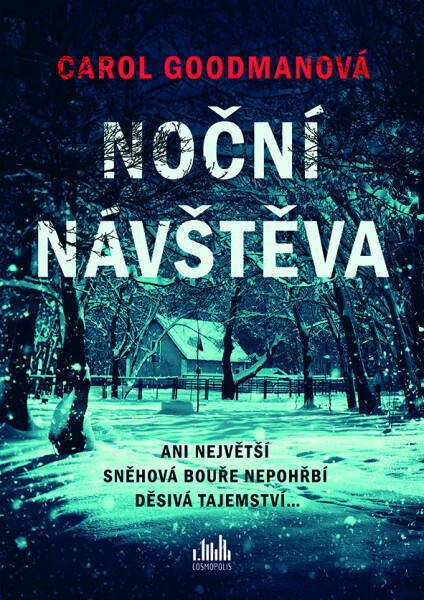 Noční návštěva - Carol Goodmanová