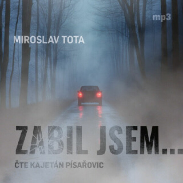 Zabil jsem... - Miroslav Tota - audiokniha