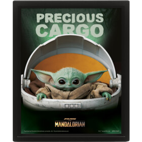 Obraz 3D Mandalorian Precious Cargo - EPEE