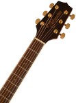 Takamine GD51CE-BSB