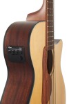 Ibanez AEGB30E Natural