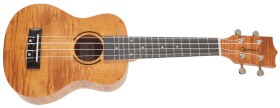 Tanglewood TWT 5