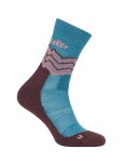 ICEBREAKER Wmns Hike+ Medium Crew Across the Peaks, Topaz/Java/Acid Pink velikost: 41-43 (L)