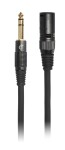 Bespeco EASX300