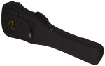 Dingwall Combustion 5 PF Natural