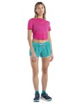 ICEBREAKER Wms ZoneKnit SS Scroop Back Tee, Tempo (vzorek) velikost: S