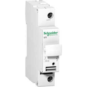 Schneider Electric A9N15636 pojistkový odpínač 10 A 500 V 1 ks