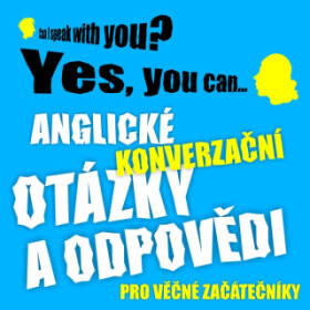 Anglické konverzační otázky a odpovědi pro věčné začátečníky - Richard Ludvík - audiokniha