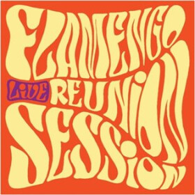 Live - LP - Reunion Session Flamengo