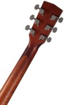 Cort Jade 1 OP