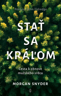 Stať sa kráľom (e-kniha) - Morgan Snyder
