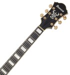 Ibanez AF95 Brown Sunburst