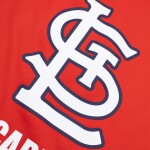 Nike Pánská mikina St. Louis Cardinals MLB 2025 Authentic Performance Therma Hoodie Velikost: M