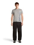 ICEBREAKER Mens Mer 125 Cool-Lite Sphe SS Tee IB Vert, Metro Hthr velikost: XXL