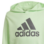 Mikina adidas Big Logo Hoodie Jr IS2591 cm