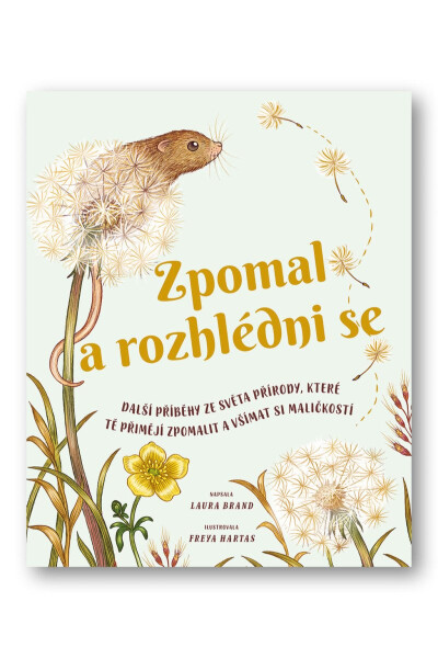 Zpomal rozhlédni se