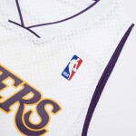 Mitchell & Ness Pánský dres Los Angeles Lakers NBA Robert Horry #5 2002-03 Swingman Velikost: M