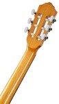 Ortega R122G-3/4
