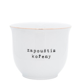 Bella Rose Porcelánový obal na květináč Zapouštím kořeny 10 cm, bílá barva, zlatá barva, porcelán