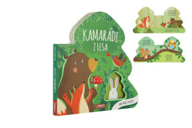 Knížka Kamarádi z lesa 20x20cm 12m+ - Roberta Marcolin