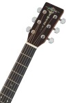 Sigma Guitars DT-ST