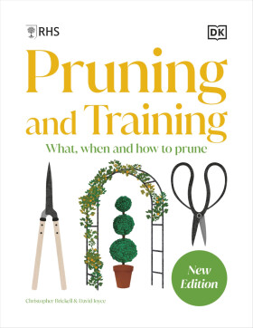 RHS Pruning and Training - Various