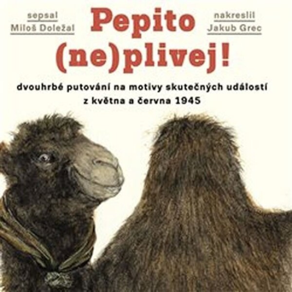 Pepito neplivej!