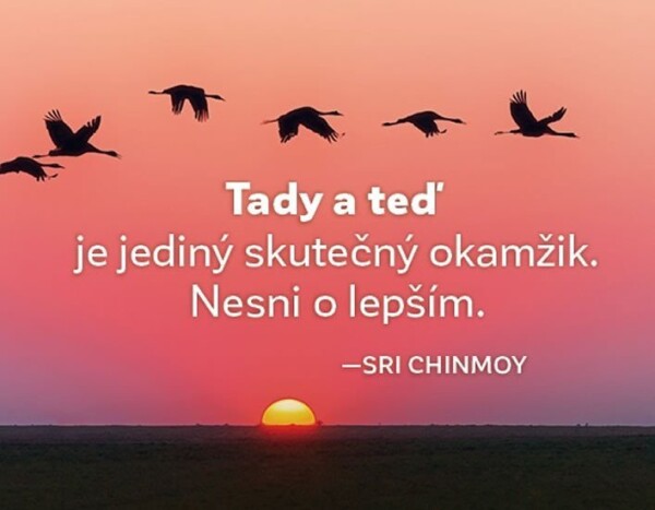 Magnet na lednici - Tady a teď je jediný skutečný okamžik. Nesmi o lepším. - Sri Chinmoy