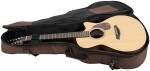 Furch Blue Gc-SW 12 CNR Active 2026