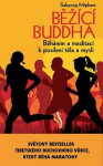 Běžící Buddha (poškozená) - Sakyong Mipham
