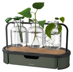 Stanice pro množení rostlin