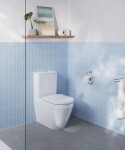 GROHE - Euro Ceramic WC kombi se sedátkem SoftClose, vario odpad, spodní napouštění, Triple Vortex, alpská bílá 102513SH00