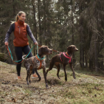 Postroj Casual Y ECO hnědý, Hurtta Postroje Velikost: 30-35 cm