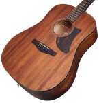 Ibanez AAD140 Natural