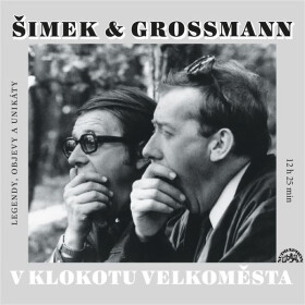 V klokotu velkoměsta - Miloslav Šimek