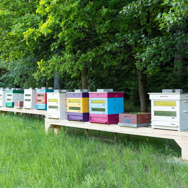 Včelařství Domovina Tropikáno dárkové balení 2x170 ochucené medy Design: Domovina