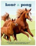 Koně pony
