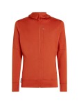 ICEBREAKER Mens 260 Quantum IV LS Zip Hood, Agate (vzorek) velikost: M