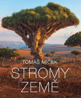 Stromy Země - Tomáš Míček