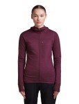 ICEBREAKER Wmns Merino 300 RealFleece Desc LS Zip Hood, Dark Berry (vzorek) velikost: S