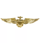 R-Kontakt.cz Odznak pilota zlatý