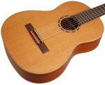 Ortega R122L