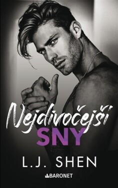 Nejdivočejší sny