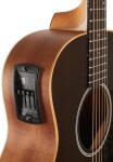 Taylor GS Mini-e Translucent Black