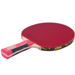 Raketa na stolní tenis Atemi 2000 stolní tenis