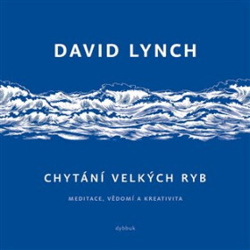 Chytání velkých ryb - Meditace, vědomí a kreativita - David Lynch
