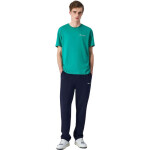 Tričko Champion SS Tee M 220264 GS130 pánské s