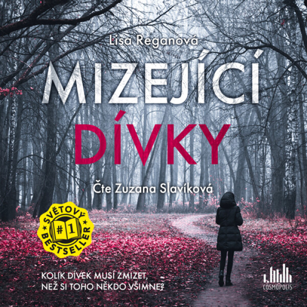 Mizející dívky (audiokniha - čte Zuzana Slavíková) - Lisa Regan