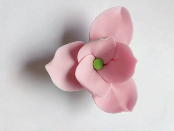 Dortisimo Cukrová magnolie růžová (9 ks)